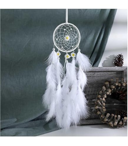 Amazon.co.jp: スピリチュアルなキャラクタードリーム